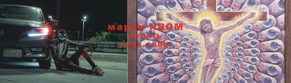 стафф Осинники