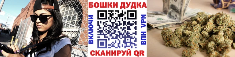 Канабис сатива  наркотики  Ликино-Дулёво 